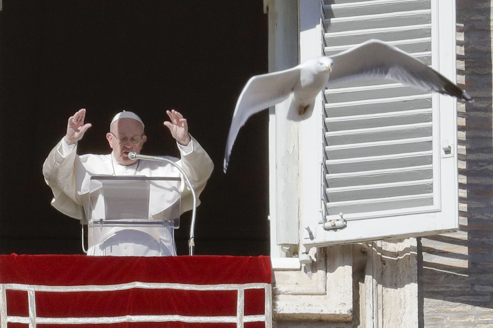 El Papa fustiga vicios de la política y la xenofobia