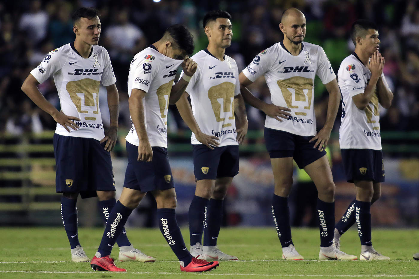 Pumas buscará su revancha en el Clausura 2019
