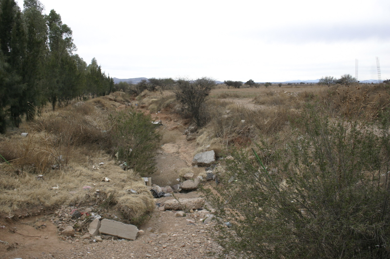 Procedimiento. La Sader emitió la Desastre Natural para 22 municipios de Durango. (EL SIGLO DE TORREÓN)