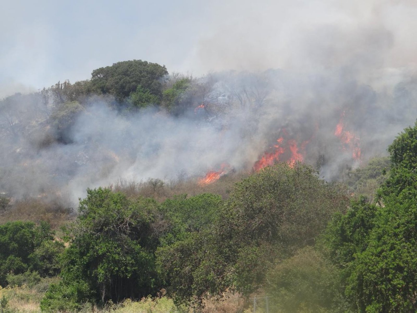 Incendios consumen en Chile 2,200 hectáreas