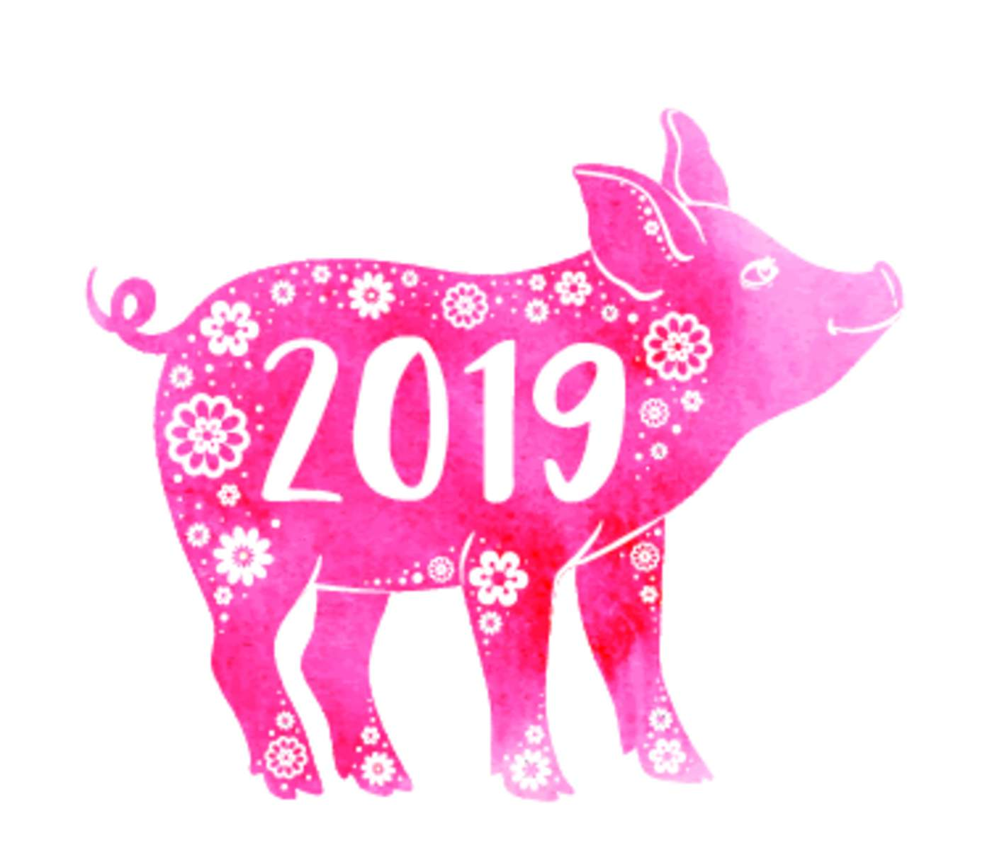 ¿Por qué el 2019 es el año del Cerdo y cuál es su significado?