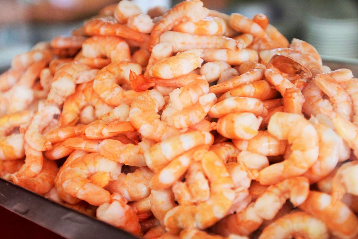 Esta alternativa acuícola busca destacar el valor comercial que posee el camarón en la industria alimentaria en México. (ARCHIVO)