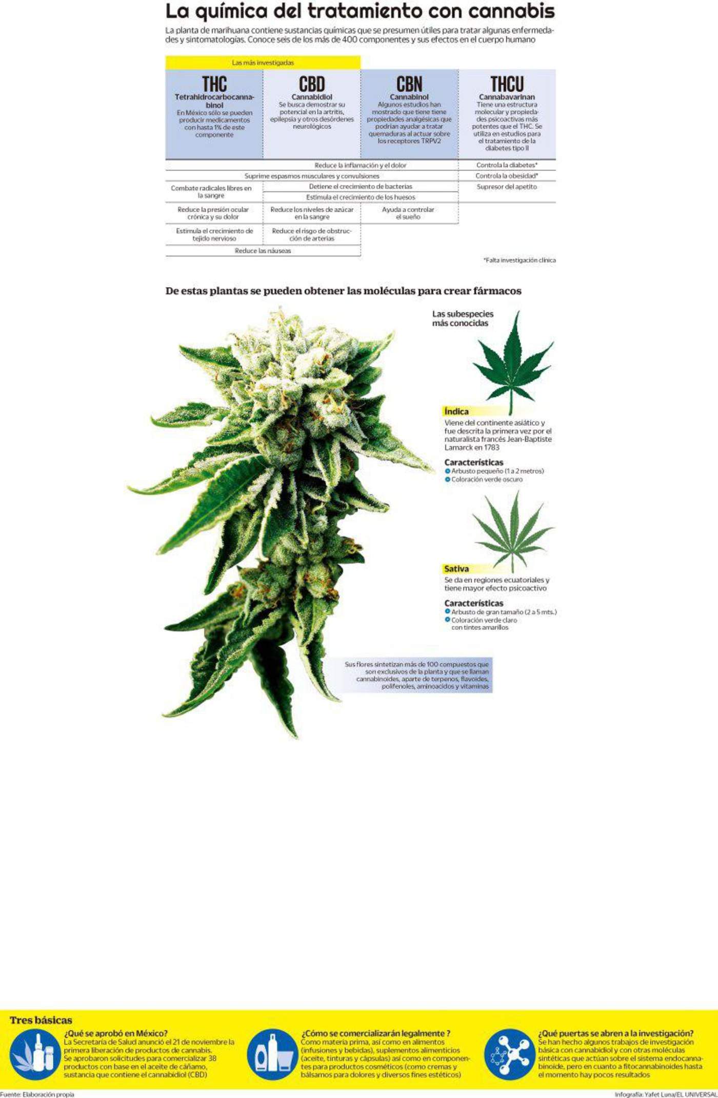 Falta investigación en marihuana medicinal