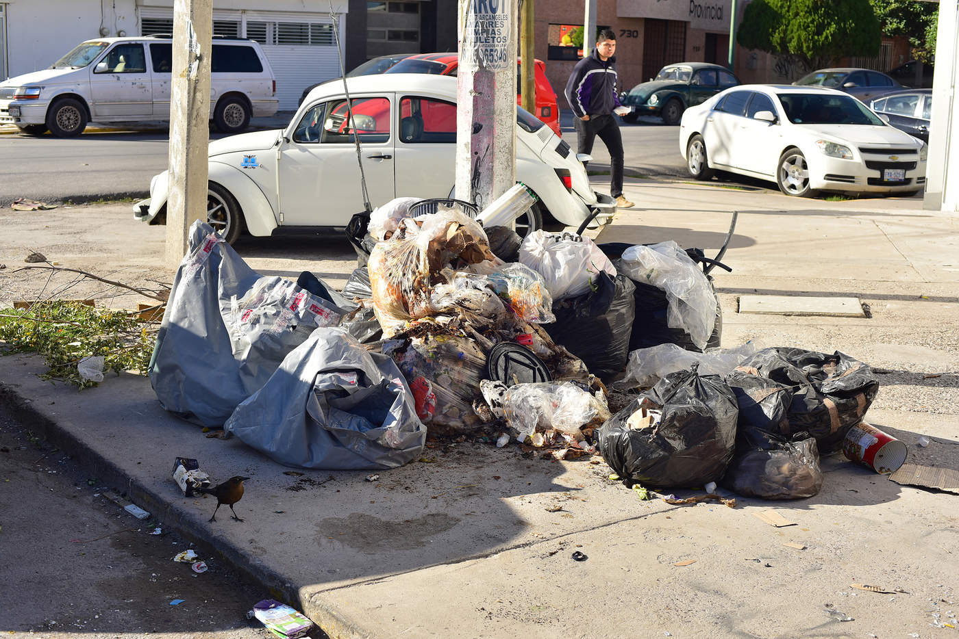 Montones de basura se acumulan, las cuales son el blanco de los perros callejeros. (EL SIGLO DE TORREÓN)