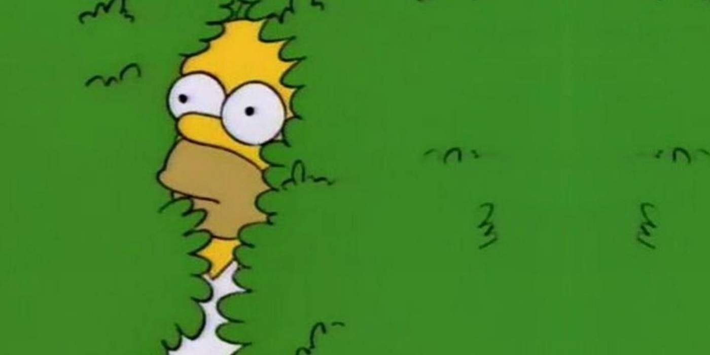 VIRAL: Homero Simpson utiliza su propio meme del arbusto
