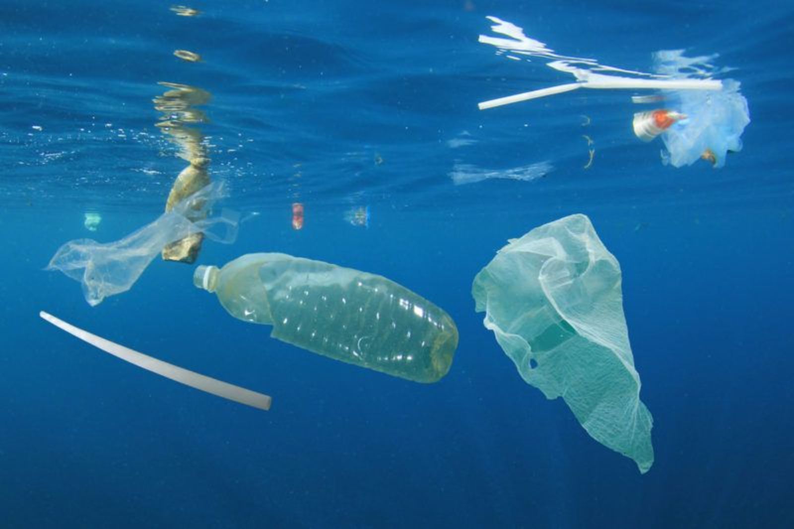 Anuncian alianza para eliminar plásticos en océanos