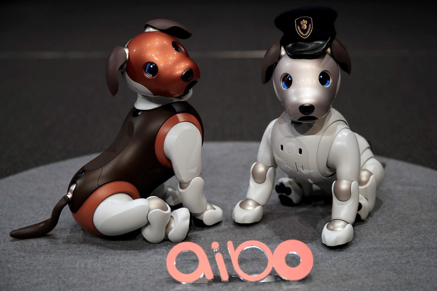 Sony presenta versión 'policía' de su perro-robot Aibo