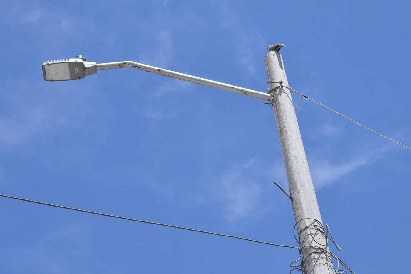 El conteo de los postes de alumbrado público se realiza para que no haya ninguna diferencia entre los registros que tienen la Comisión Federal de Electricidad (CFE) y Servicios Públicos Municipales. (ARCHIVO)