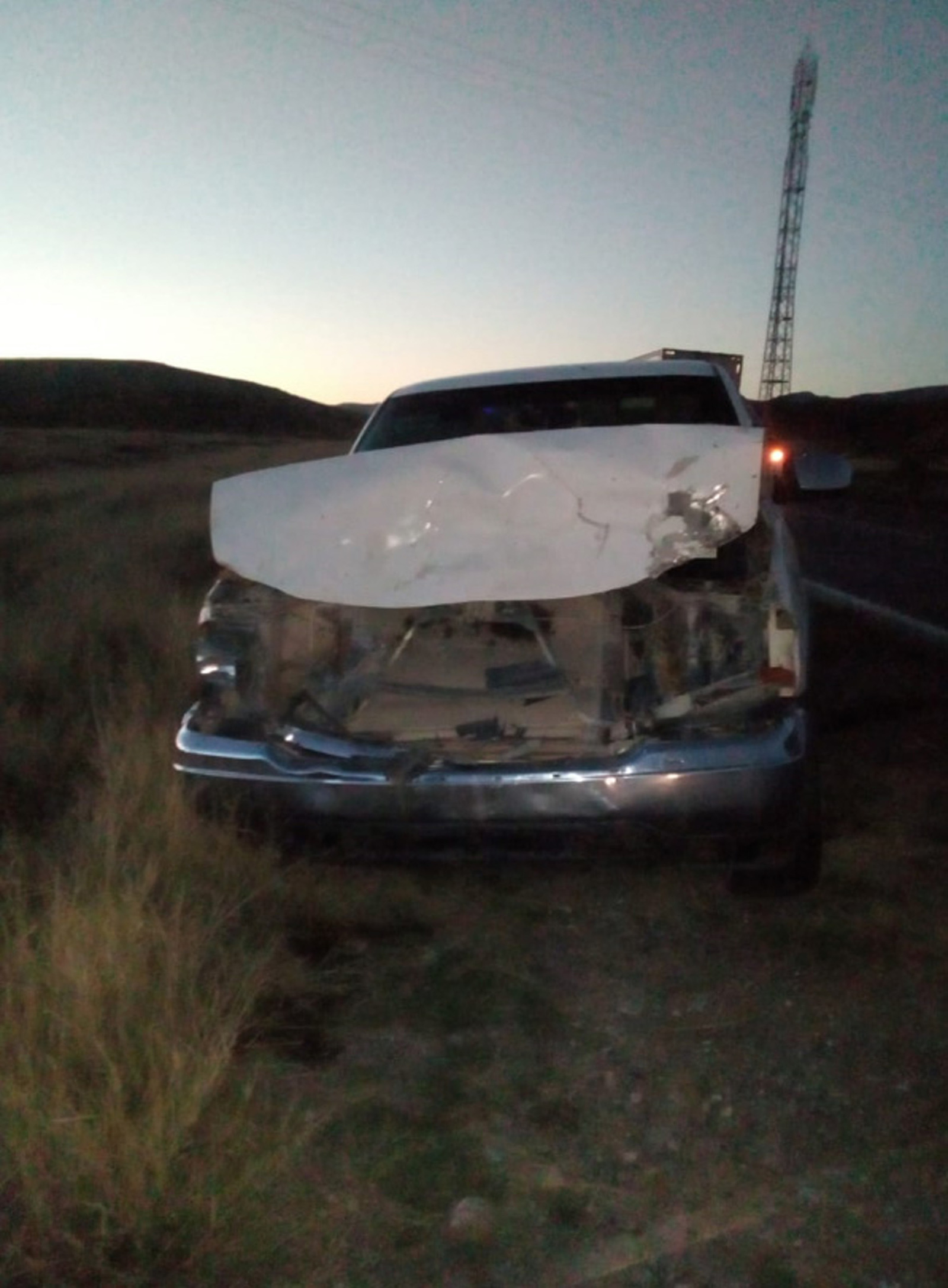 Se impacta conductor de camioneta con una vaca que le salió al paso en la carretera libre a Durango, mientras que el animal perdió la vida en el lugar, la camioneta terminó dañada. (EL SIGLO DE TORREÓN)