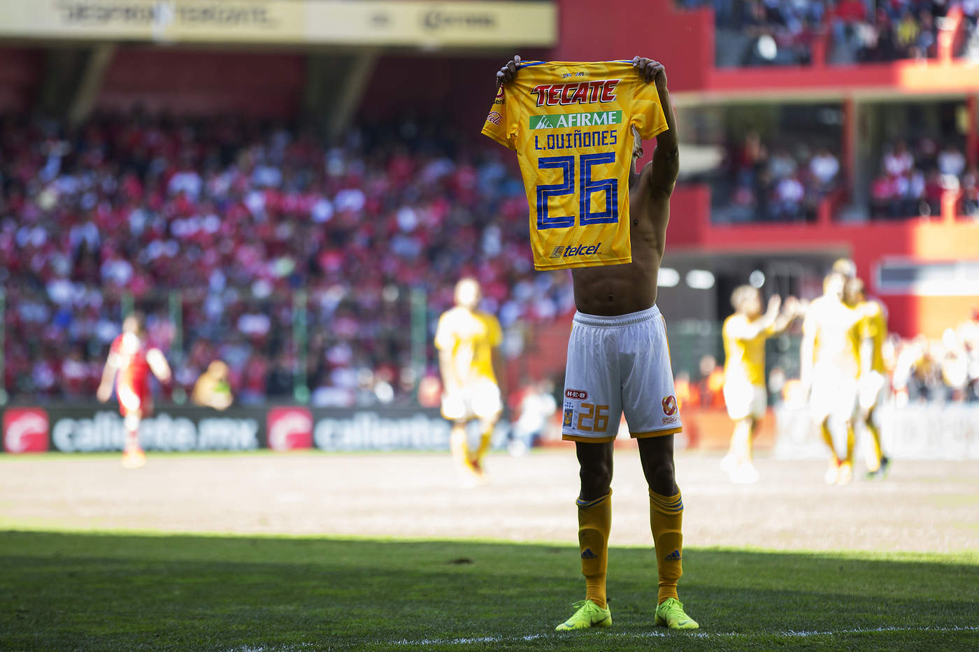 El colombiano Luis Quiñones, exjugador de Toluca, festeja después de anotar su gol para darle la victoria a Tigres. (Jam Media)