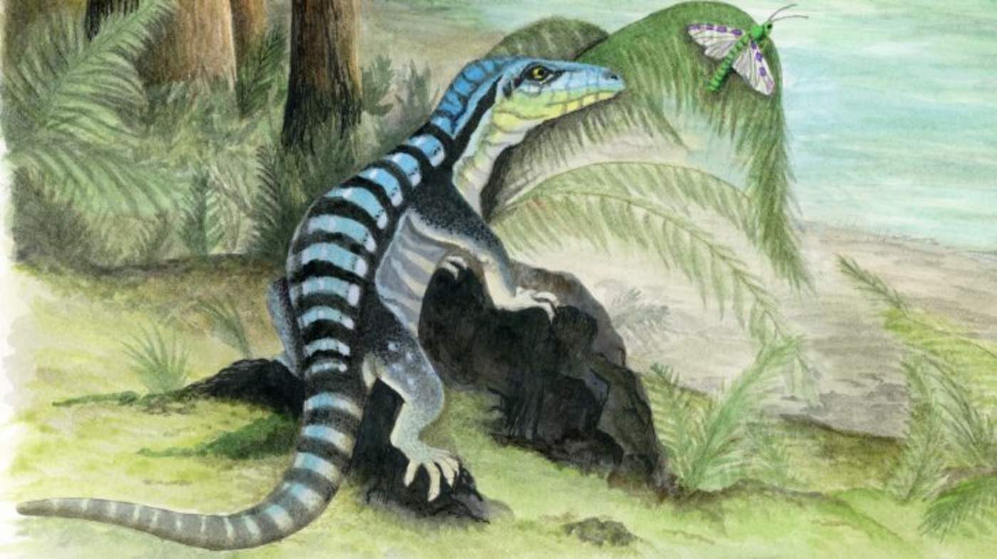 El esqueleto fósil está incompleto aunque los paleontólogos han podido tener una buena percepción del animal, bautizado como 'Antarctanax shackletoni'. (ESPECIAL)