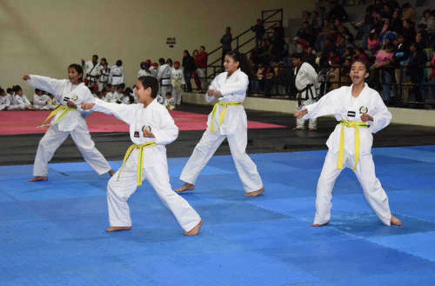 En el Instituto Tecnológico de Durango (ITD), se realiza el Congreso Regional de Certificación y Capacitación para Entrenadores de Taekwondo, avalado por la Federación Mexicana de TKD. (EL SIGLO DE TORREÓN) 
