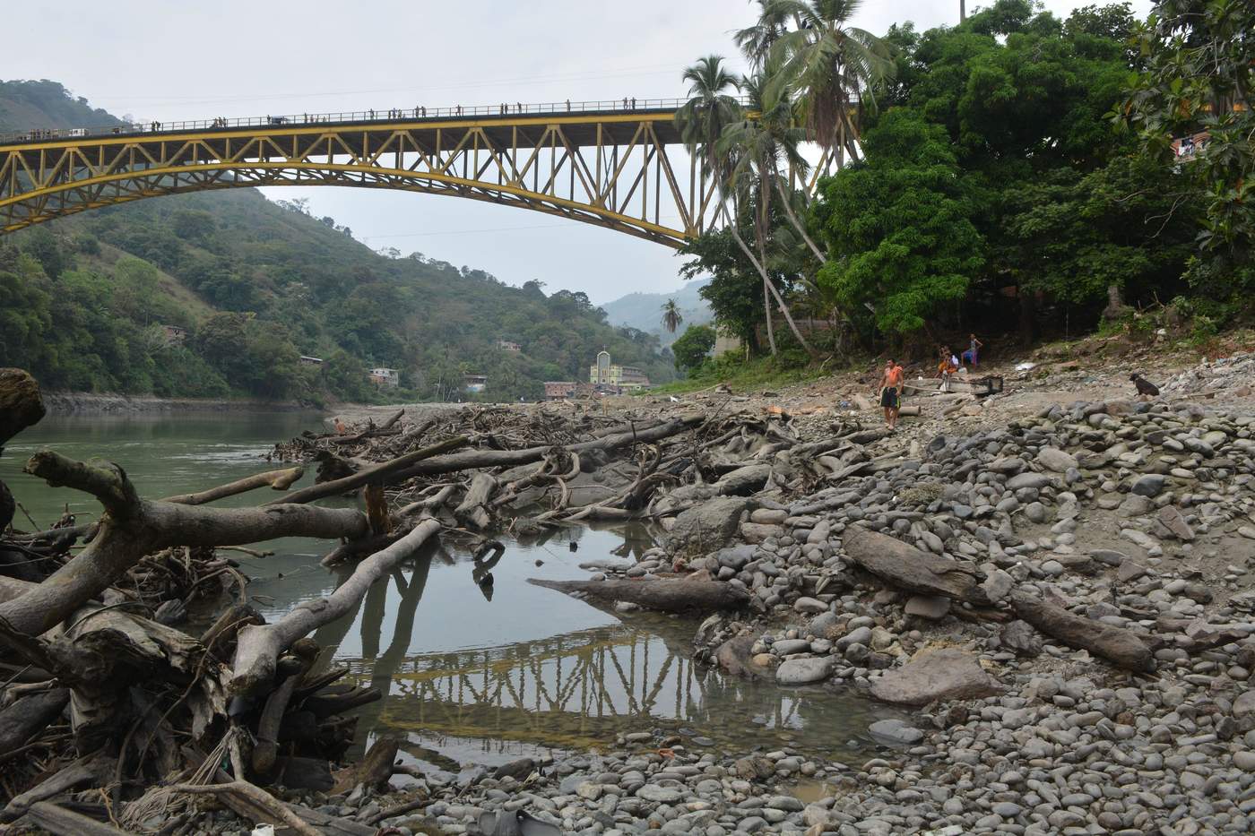 Se muere literalmente de sed por el cierre de una compuerta en la hidroeléctrica en construcción de Ituango. (EFE)
