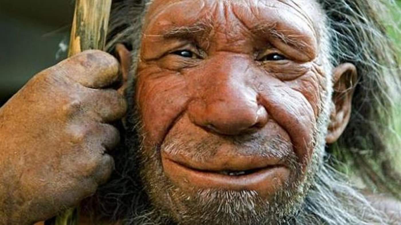 Endogamia, factor clave en la extinción de los neandertales