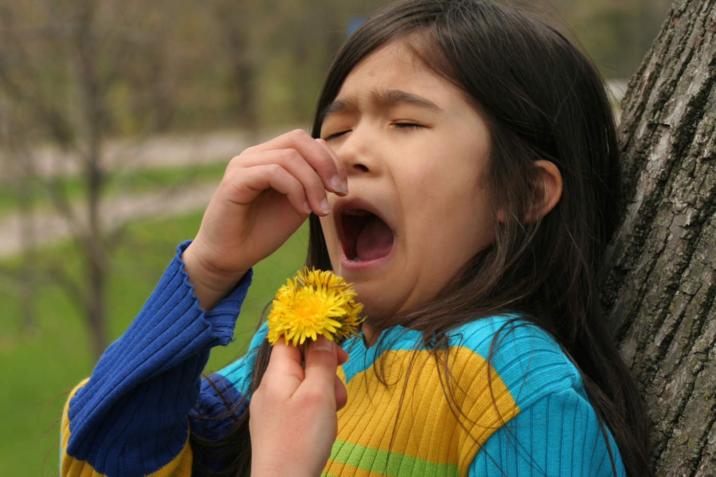 Aunque las alergias en algunos casos tienen componentes genéticos, en algunos otros los factores son ambientales. (ARCHIVO)