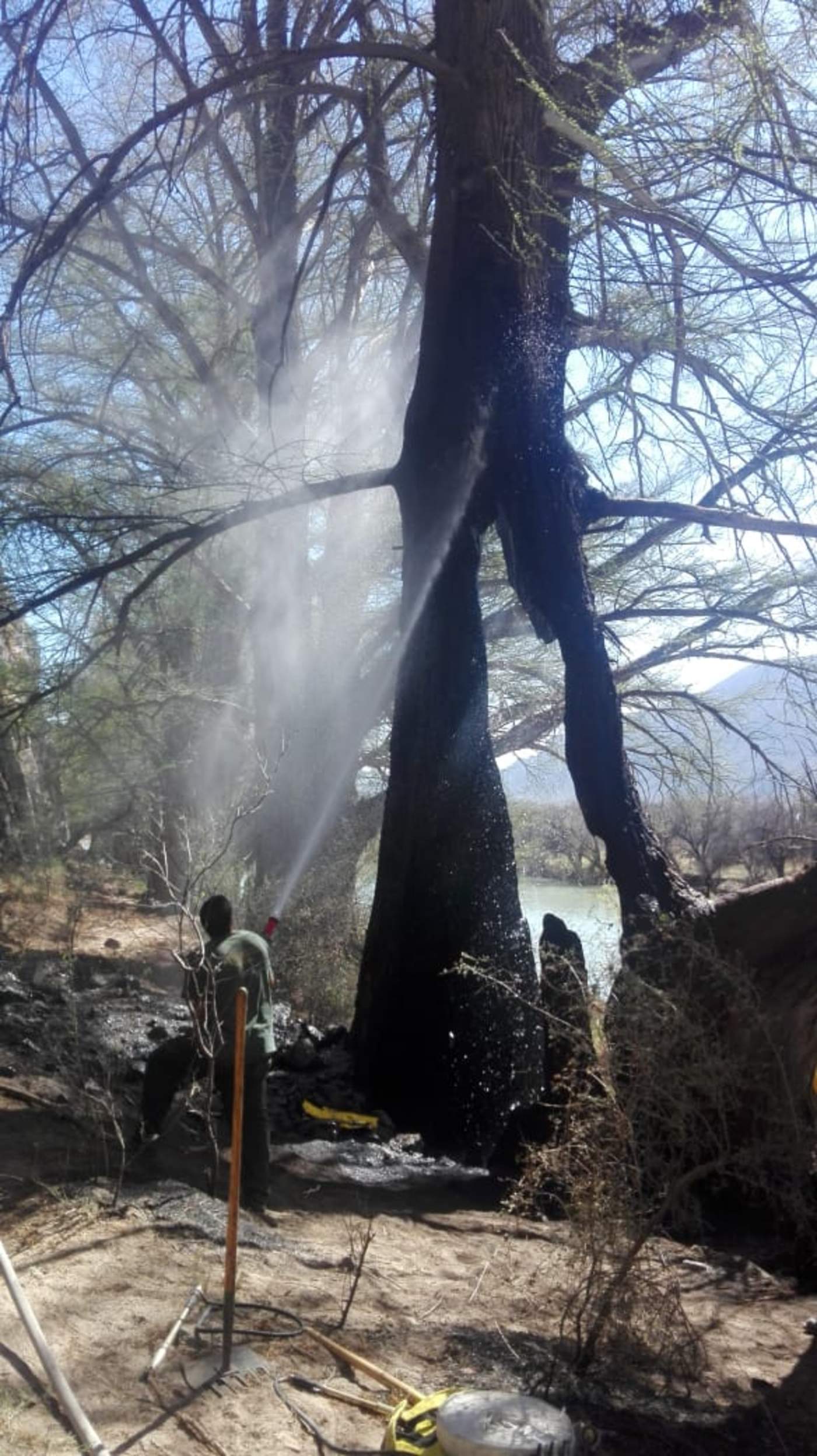 Escobedo Reyes llamó a la población a tomar conciencia, a cuidar la flora y fauna, a depositar la basura en su lugar y a prevenir los incendios forestales que afectan severamente a esta Área Natural Protegida. (ESPECIAL) 