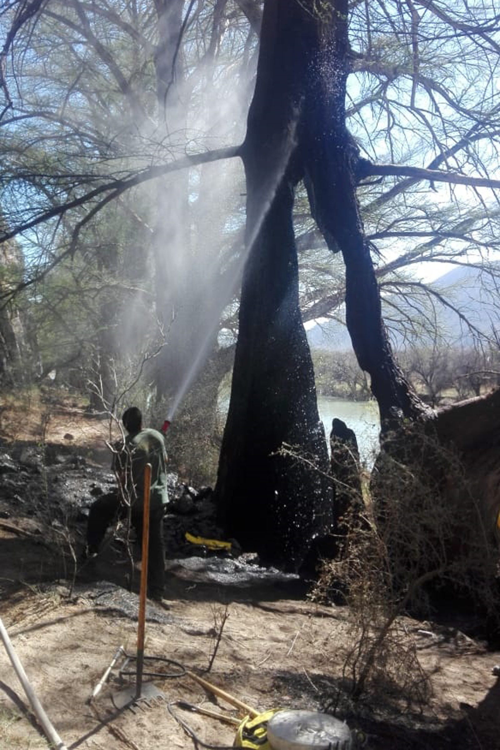 Riesgos. Ayer sábado, acudió una brigada de la Comisión Nacional Forestal para sofocar el fuego en su totalidad en el Parque Estatal Cañón de Fernández.