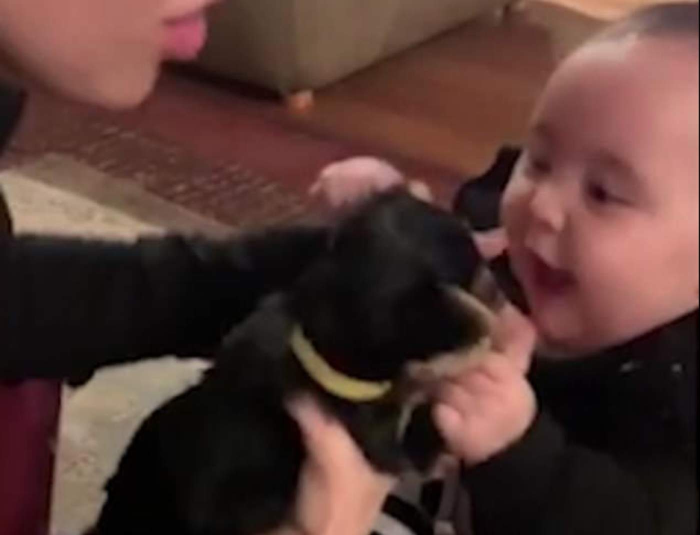 VIRAL: La tierna reacción de una bebé ante un cachorro