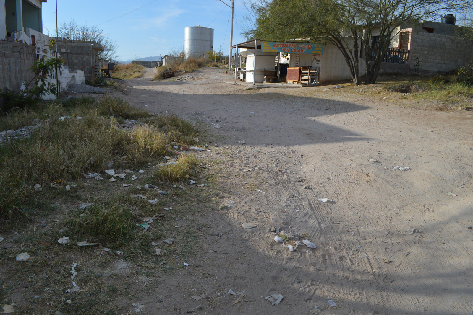 Habitantes del ejido Los Arenales, ubicado al sur de Torreón, piden pavimentación, alumbrado y aseo regular en su sector. (ROBERTO ITURRIAGA)