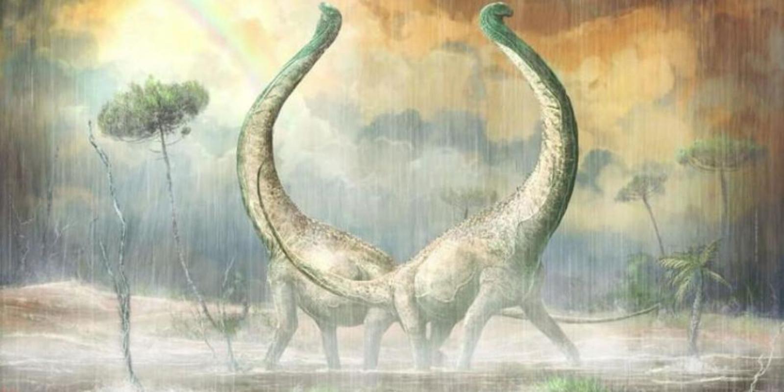 Evolución. Los titanosaurios alcanzaron su máxima diversidad en el Cretácico tardío. (TWITTER)