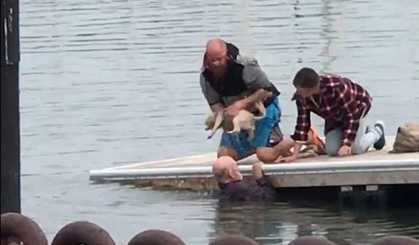 Anciano se lanza a océano para salvar a su perrito de ahogarse