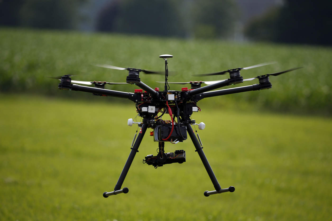 Los drones, aliados en la preservación de la fauna