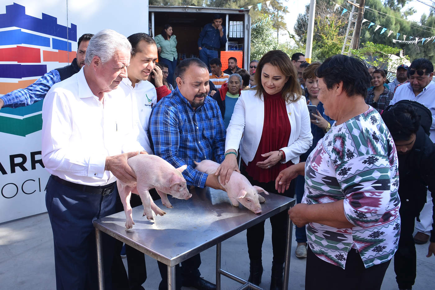 Como parte inicial de una serie de apoyos que se darán a comunidades ejidales de este municipio en La Concha, entregó un paquete de porcinos que servirán como pies de cría para proyectos productivos. (FERNANDO COMPEÁN)