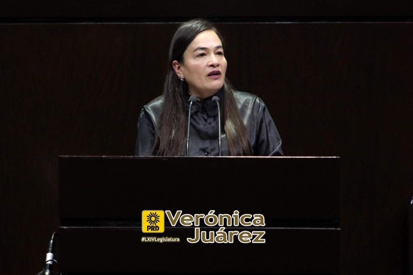 La vicecoordinadora del PRD en la Cámara de Diputados, Verónica Juárez, pidió a la Fiscalía General de la República y a la Secretaría de Gobernación hagan pública la información respecto a estos casos, reservando la identidad de las víctimas. (TWITTER)