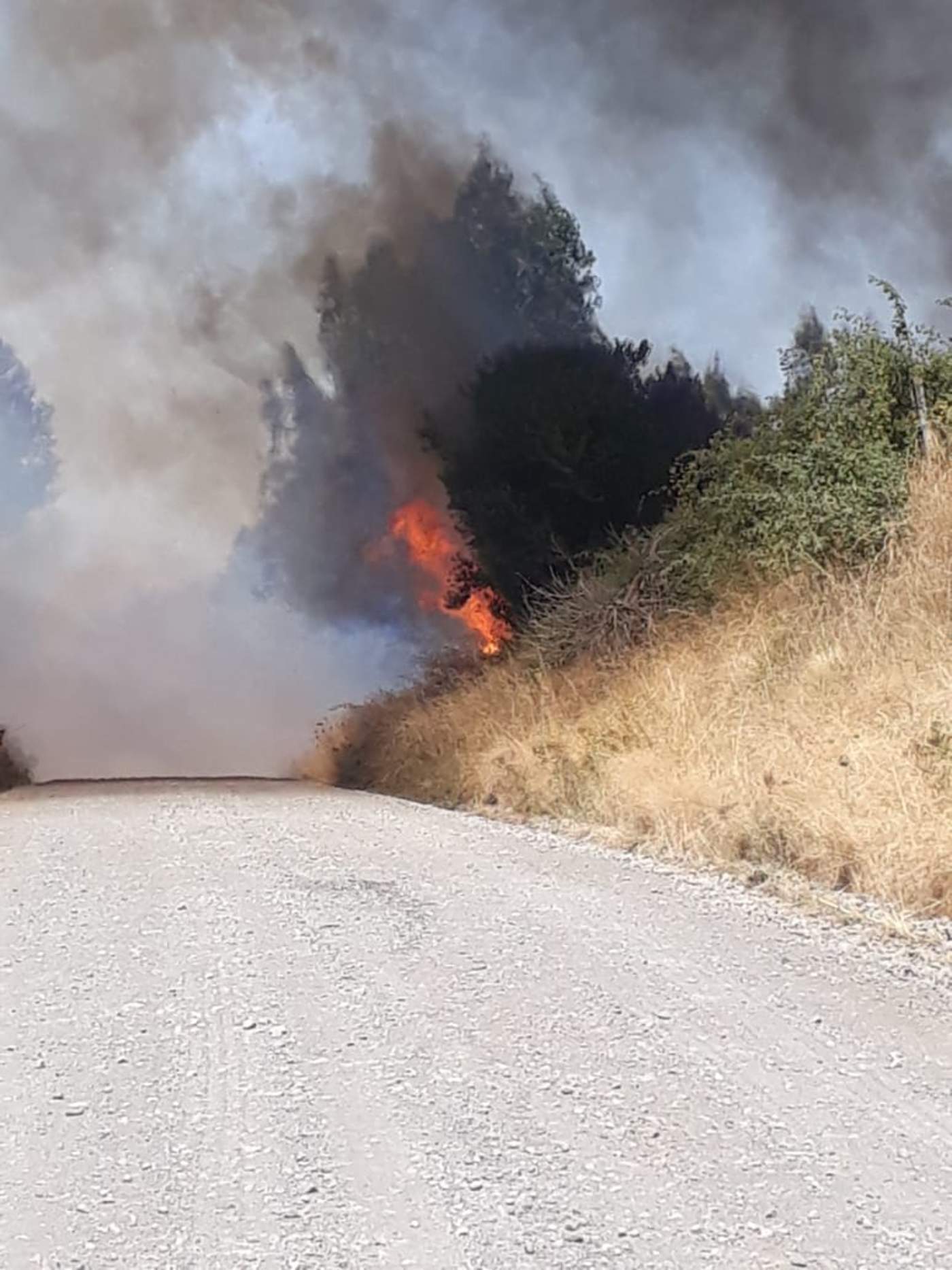Reportan 40 incendios activos en zonas de Chile