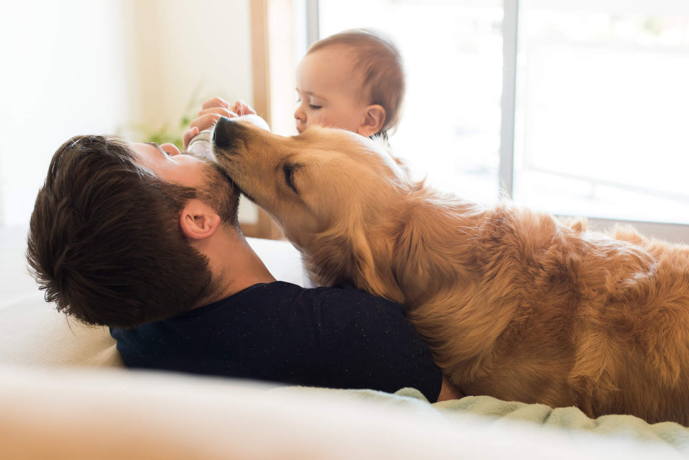 El aroma de su humano familiar en particular, provoca en el perro una recompensa cerebral, superior al resto de los estímulos. (ARCHIVO)
