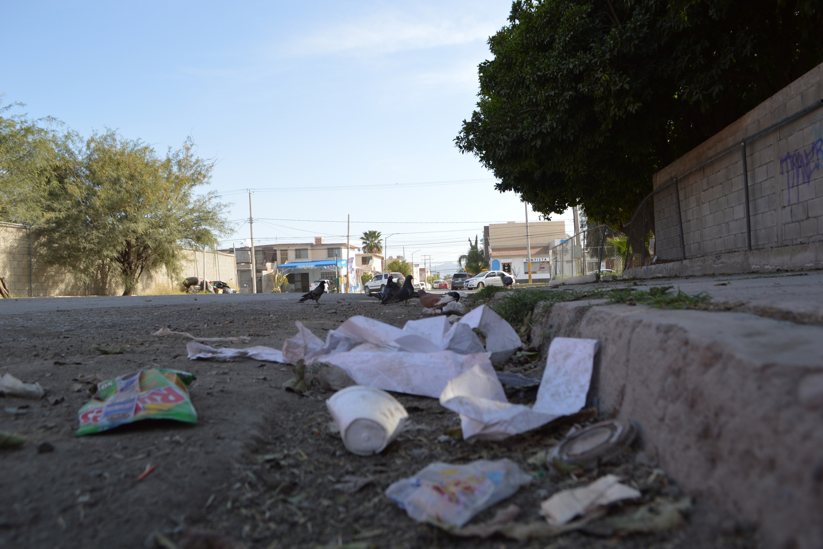 La basura se acumula en los alrededores del plantel educativo, afirman docentes que los comerciantes no utilizan contenedores. (ROBERTO ITURRIAGA)