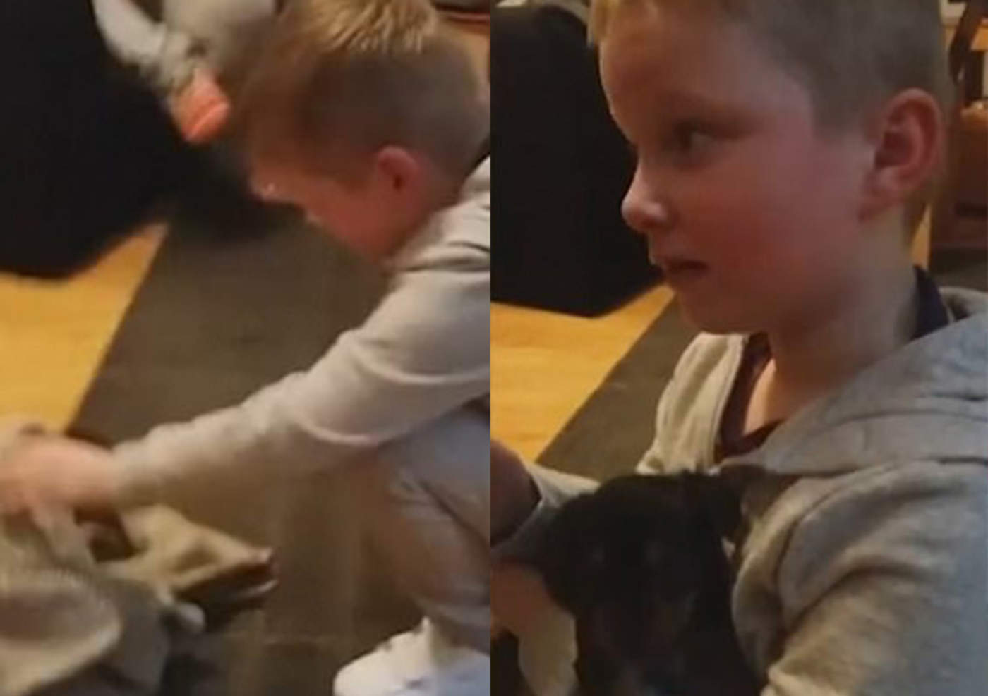La tierna reacción de un niño al recibir un cachorro