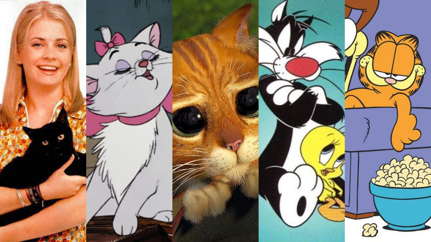 Los gatos más populares de la televisión y el cine