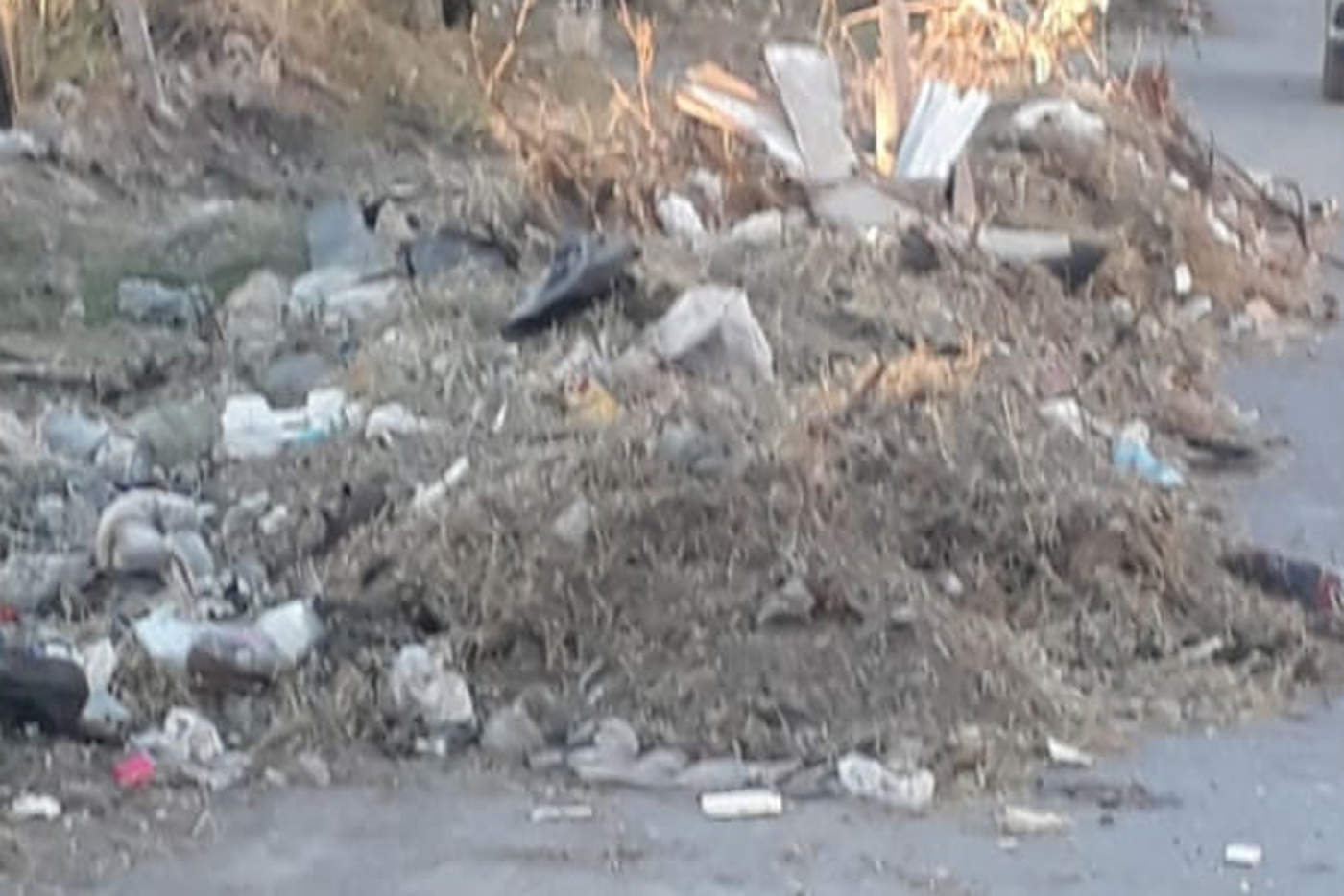 Hubo una limpieza de los lotes baldíos recientemente en la colonia San Felipe de esta ciudad, sin embargo, indican que todo se quedó a medias. (EL SIGLO DE TORREÓN)