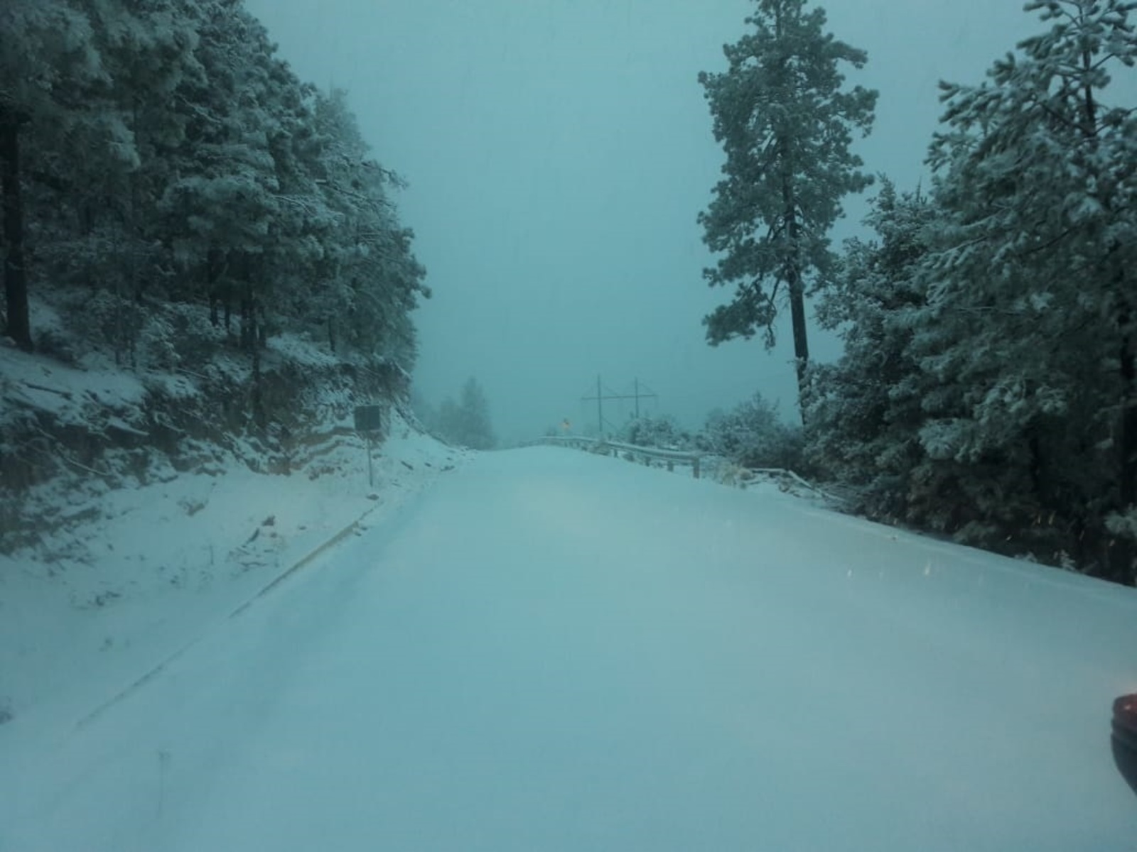 La caída de nieve se registró en las zonas más altas de tres municipios: Topia, Otáez y Santiago Papasquiaro.