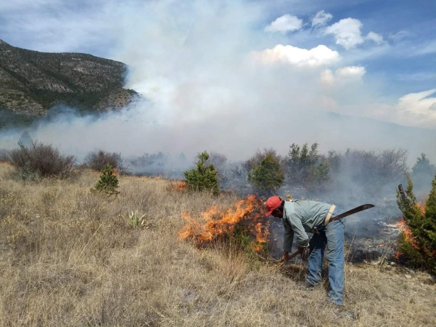 El reporte indica que al 21 de febrero, se registraron tres incendios que afectaron un total de 77 hectáreas. (ARCHIVO)