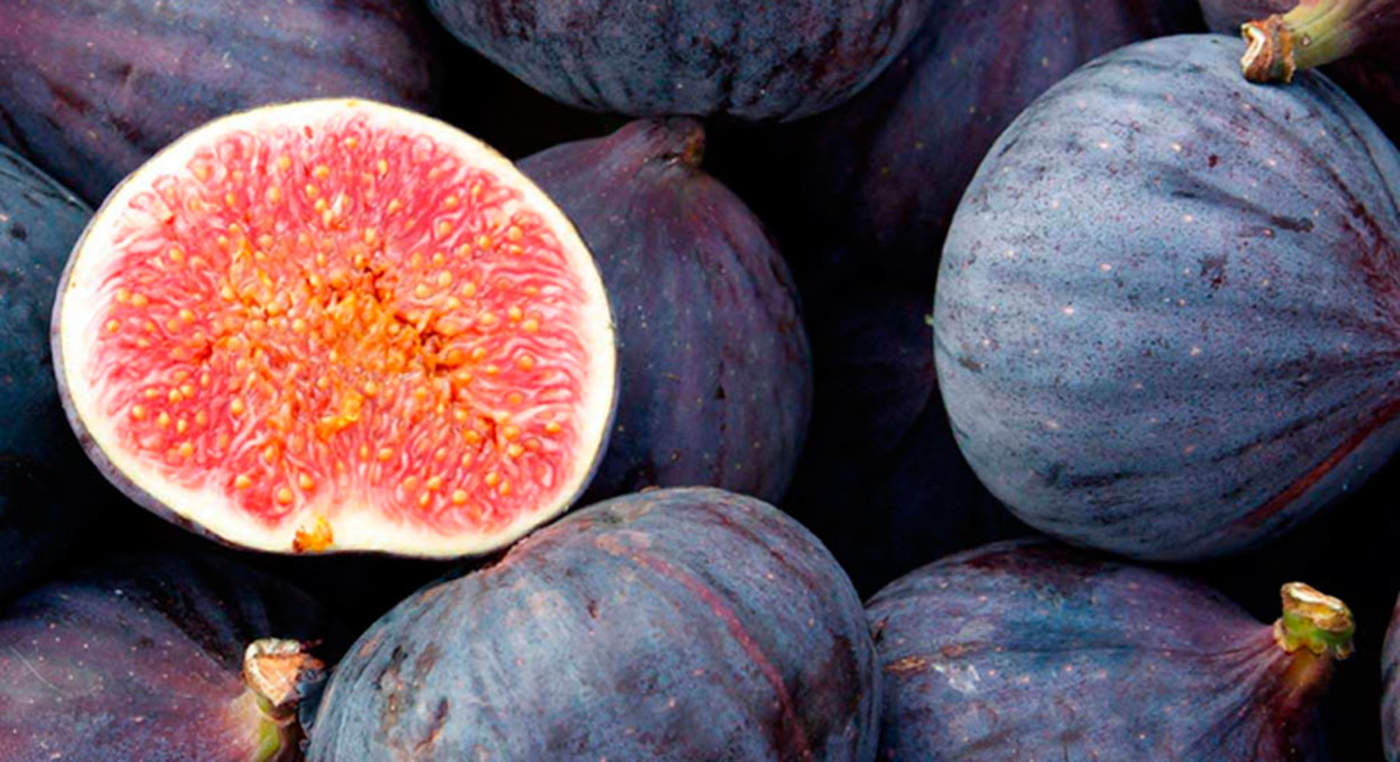 La producción de la fruta “insignificante” para algunos representan uno de los cultivos alternativos y con mucho potencial de crecimiento por la gran demanda que se tienen en Asia, Europa, Estados Unidos y Canadá. (ARCHIVO)