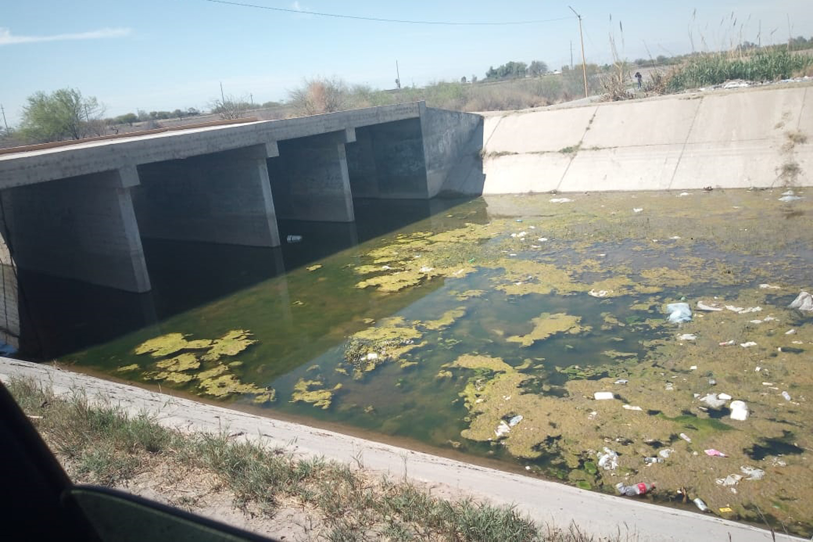 Usuarios del módulo de riego número 09 ya habían limpiado los canales de riego cuando llegó el agua sucia, proveniente de una tubería ubicada en un canal de Torreón. (EL SIGLO DE TORREÓN/EDITH GONZÁLEZ)