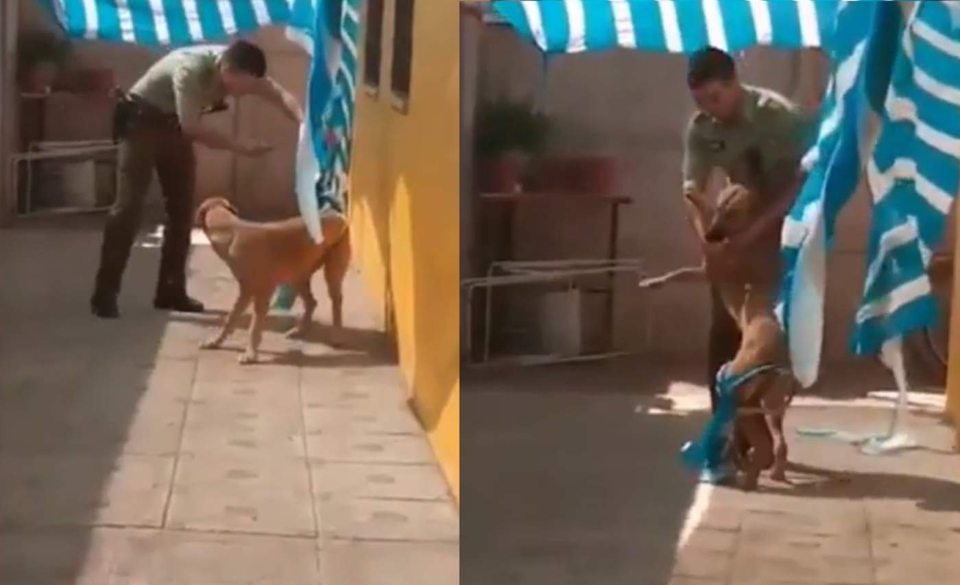 El can abrazó al oficial tras ser ayudado por éste (INTERNET)  