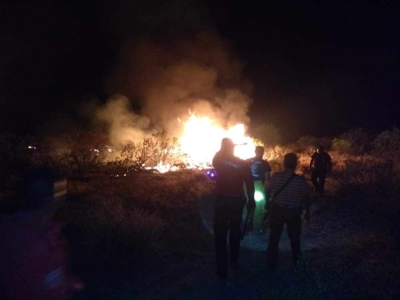 Desalojan a familias por incendio forestal en Viesca