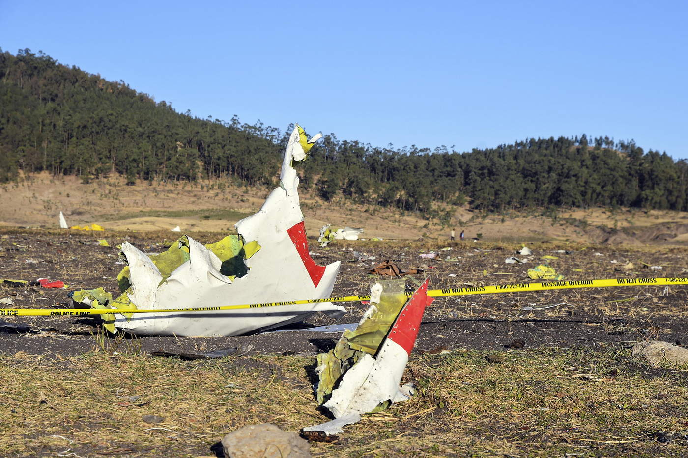 El accidente aéreo dejó un saldo de 157 personas sin vida. (EFE) 