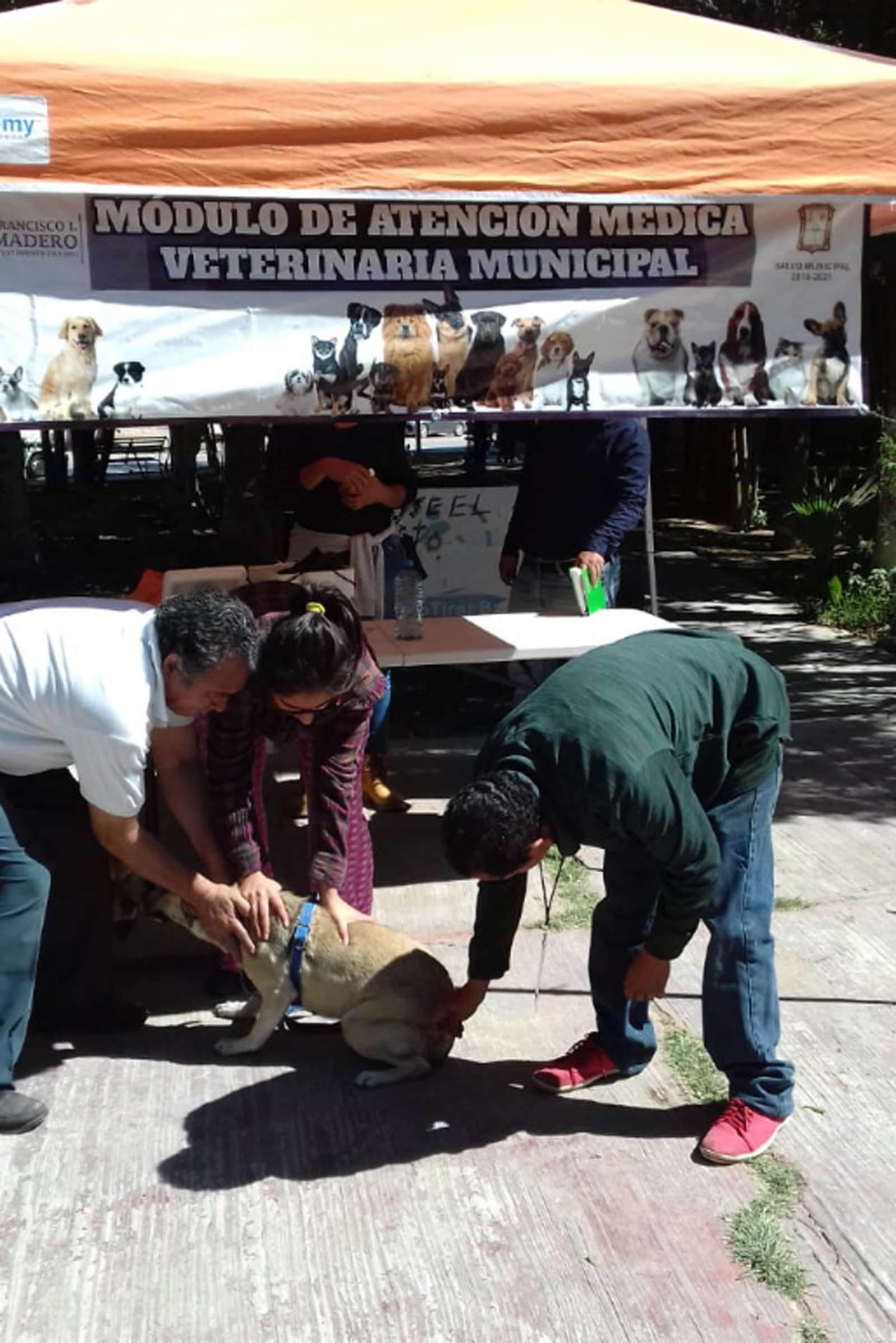 Llevarán a las colonias de Madero módulos de atención a las mascotas con vacunación, desparasitación y esterilización. (EL SIGLO DE TORREÓN/CLAUDIA LANDEROS)