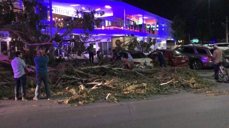 Los fuertes vientos derribaron un árbol que cayó sobre un automóvil. (EL SIGLO DE TORREÓN) 
