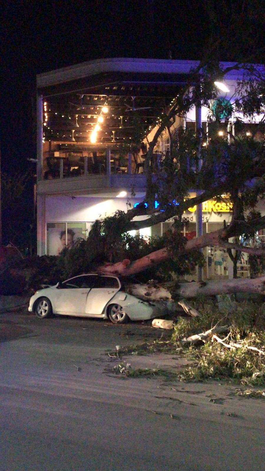 Tras fuertes vientos, cae árbol sobre auto