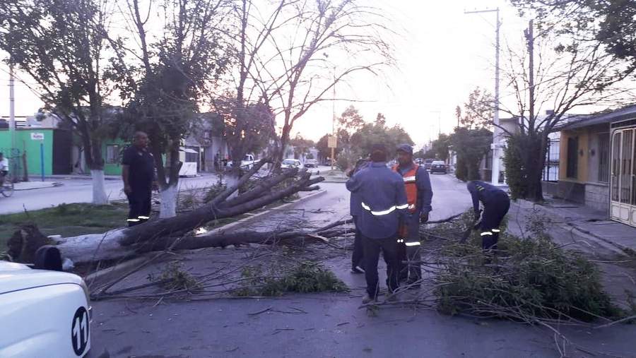 Vientos provocan caída de árboles, arbotante e incendios en Gómez