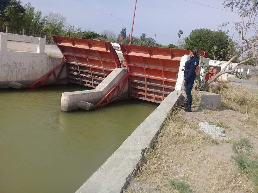 Refuerzan operativos en canales de riego en San Pedro