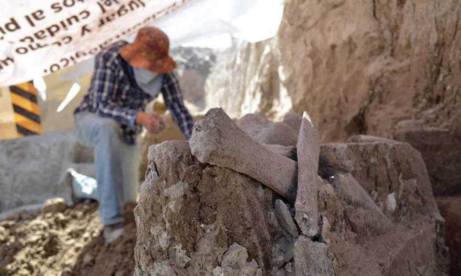El hallazgo fue reportado a la dirección de Salvamento Arqueológico del INAH, a través del investigador Luis Córdoba Barradas. (NOTIMEX)