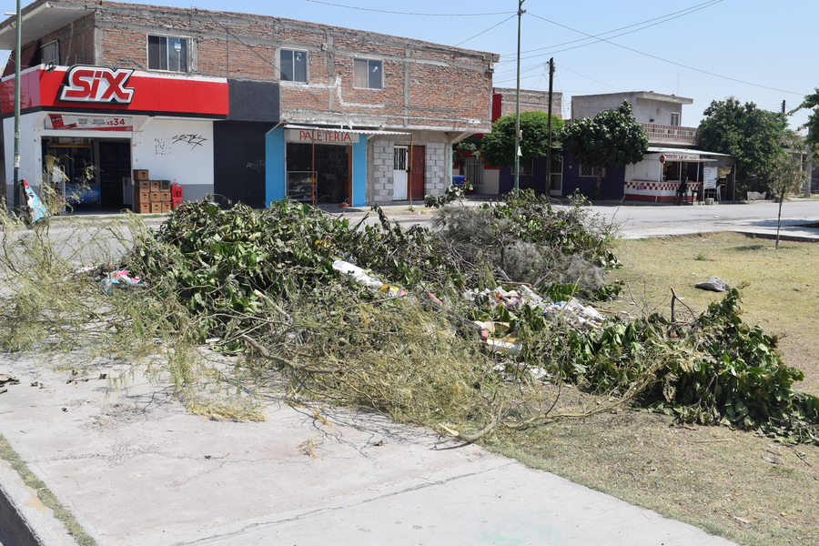 Señalaron los vecinos la necesidad de retirar basura acumulada, en la plaza de la colonia Felipe Ángeles. (EL SIGLO DE TORREÓN)