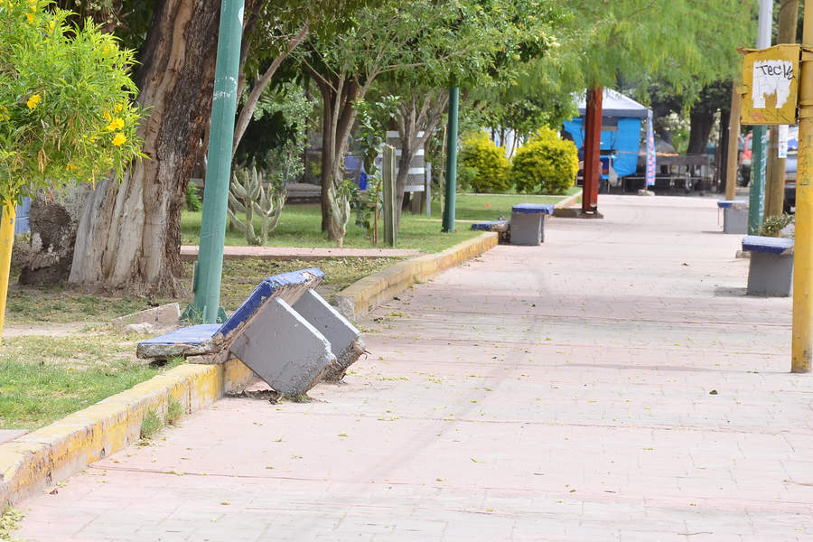 Descuidan áreas verdes en Torreón