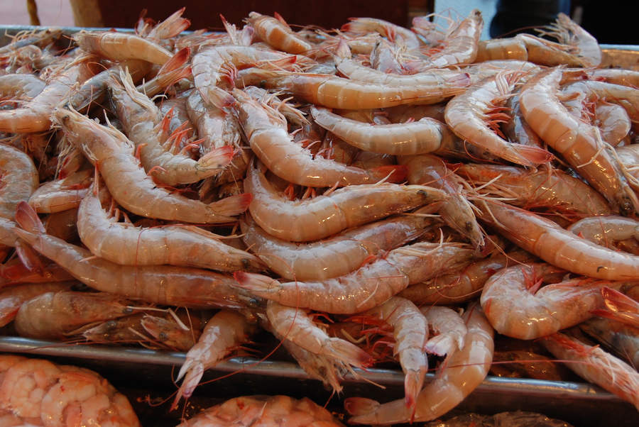 Aseguran camarón con salmonela en Saltillo